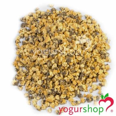 Trozos Chips Ahoy Caja 4.8 kg