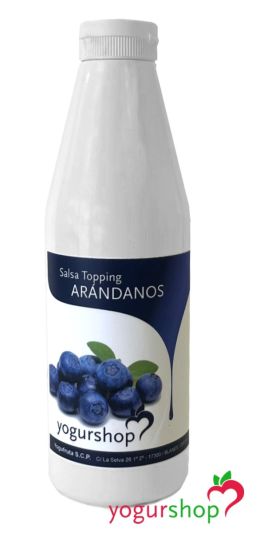 Molho Topping Premium de Mirtilo 1kg