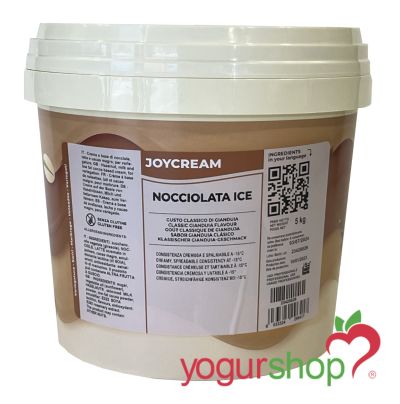 Joycream Nocciolata Ice Balde 5 kg